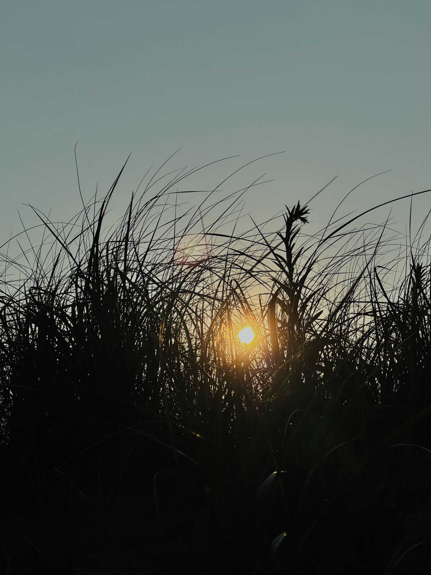 Person walking through neon illuminated arches