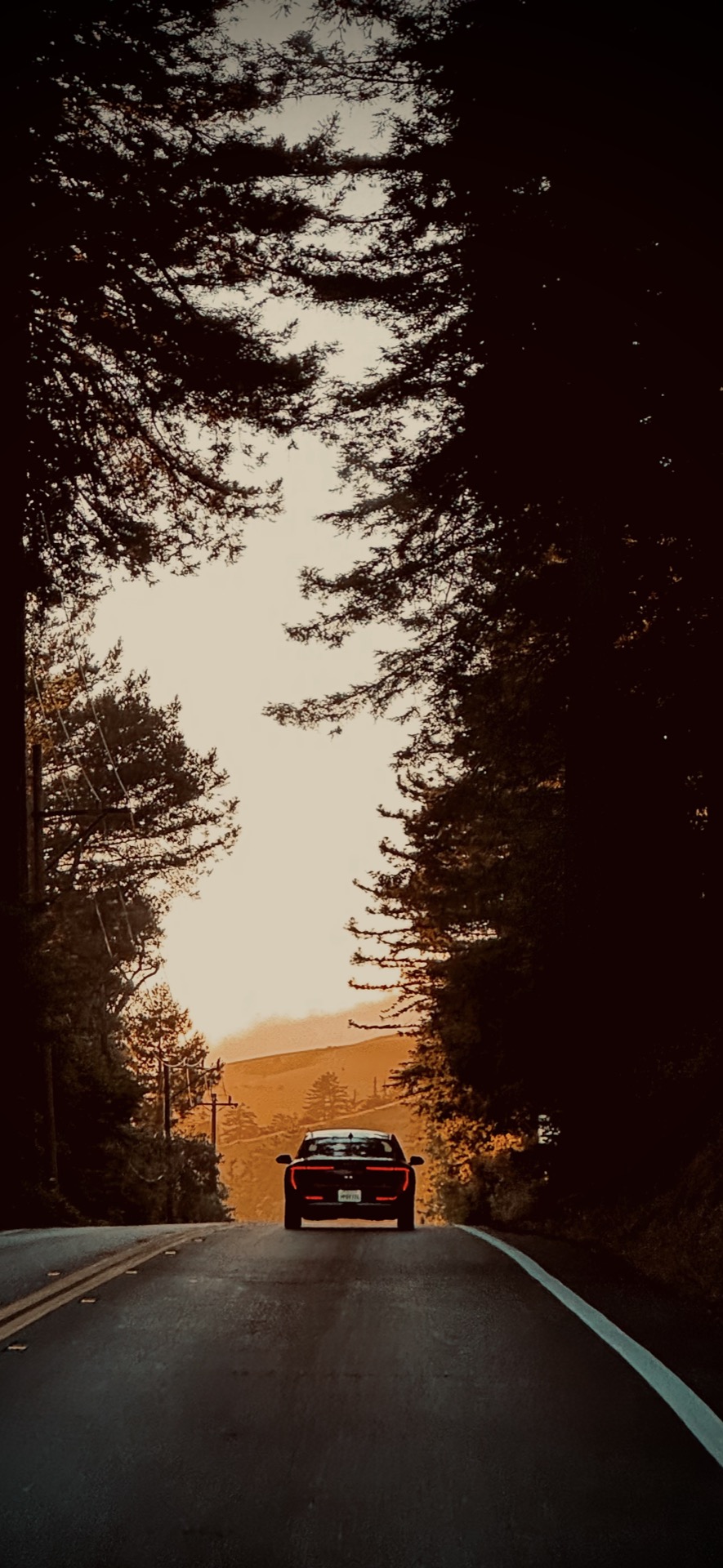 Abstract light streaks above a city skyline at night