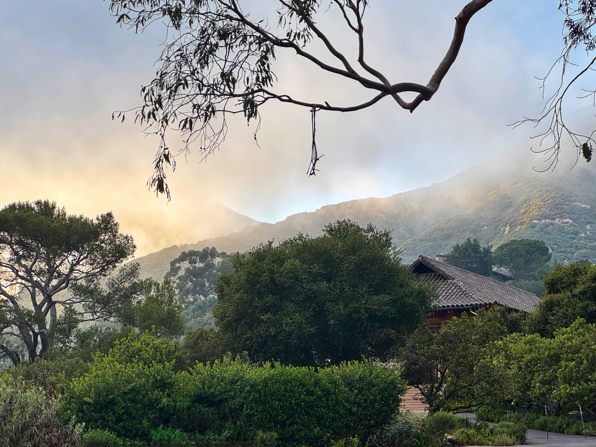 Crowd illuminated inside a baseball stadium at night