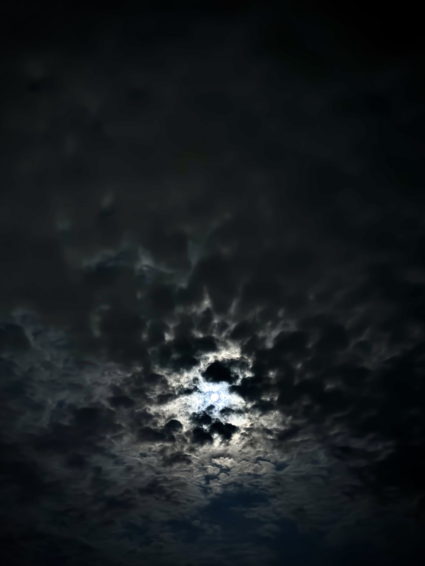 Rainy night traffic reflecting neon lights